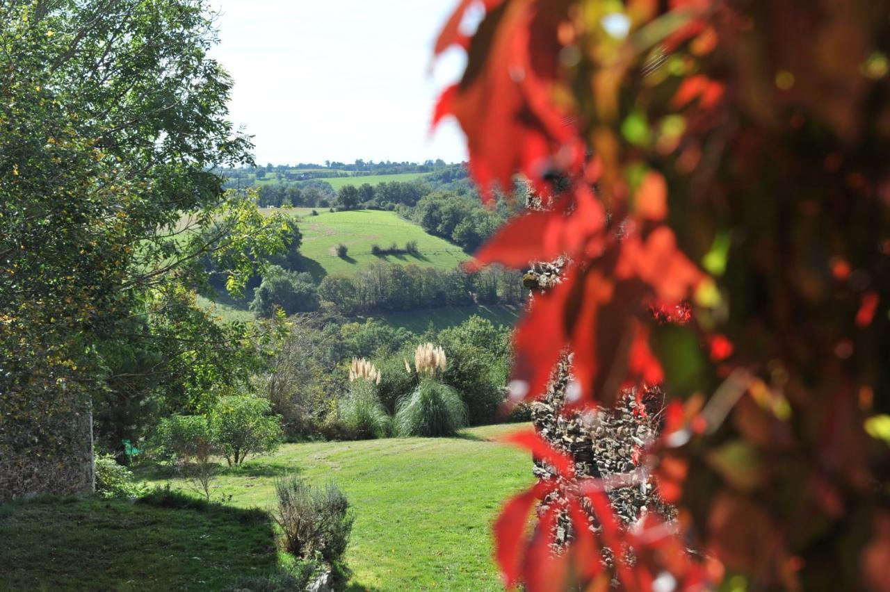 Chambres D'Hotes Le Puits D'Amour Mirandol-Bourgnounac Exterior foto